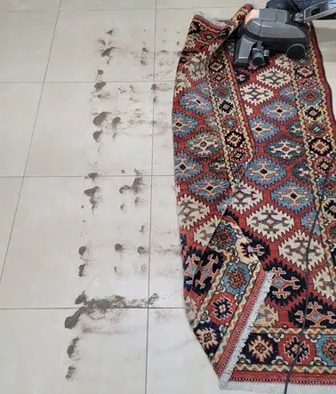 Voorbereiding van tapijt schoonmaken: stof weghalen met een speciale stofzuiger